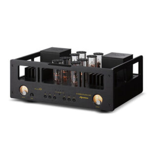 ALLNIC D-15000 OTL/OCL Signature DAC