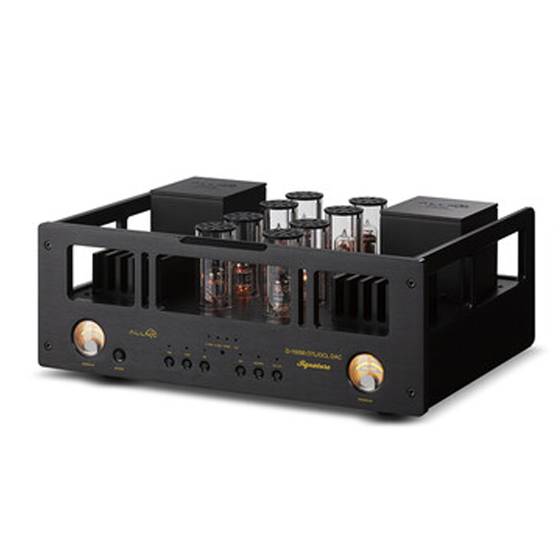 ALLNIC D-15000 OTL/OCL Signature DAC