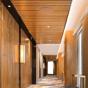 Altavoces empotrables en techo (In-Ceiling)